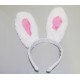Uši králík bílé 470975 - Li